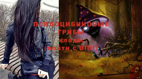ПСИЛОЦИБИНОВЫЕ ГРИБЫ Вяземский