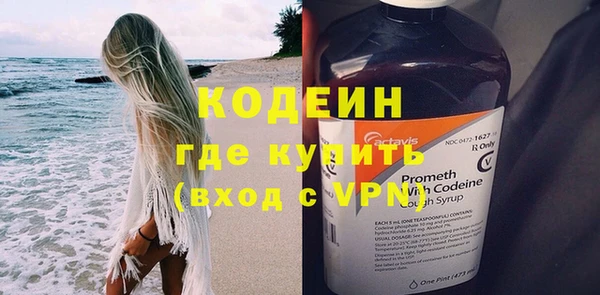 ПСИЛОЦИБИНОВЫЕ ГРИБЫ Вяземский