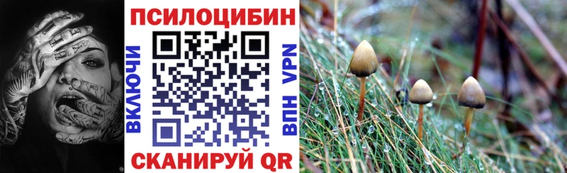 Галлюциногенные грибы мухоморы  Купить  Нурлат 